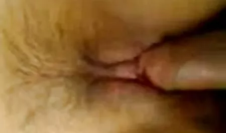 تعداد زیادی تقدیر عکس حال کردن سکسی