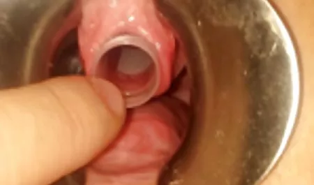 جوجه زیبا فیلم حال کردن سکس